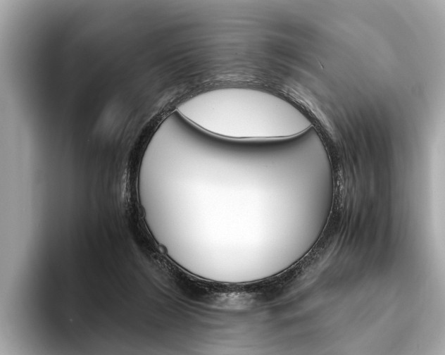 X0000094320212200711021119