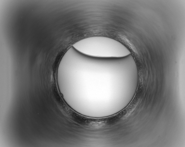 X0000094320213200711021119