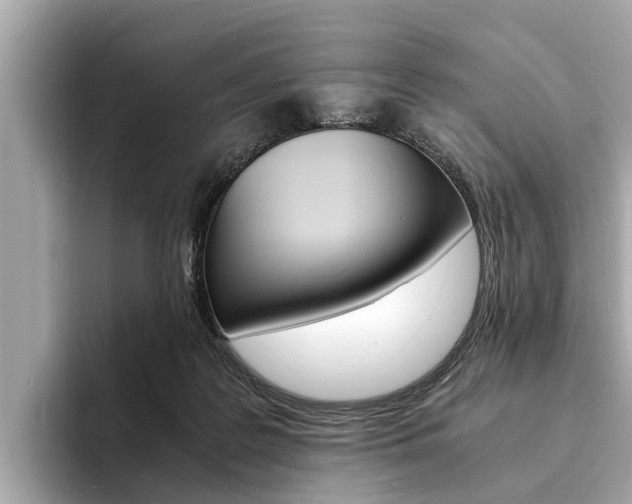 X0000094320219200711021119