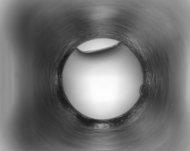 X0000094320220200711021119