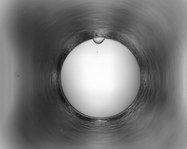 X0000094320222200711021119