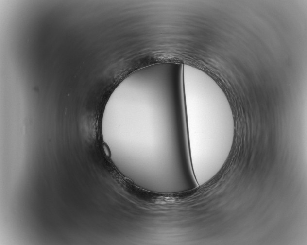 X0000094320227200711021119