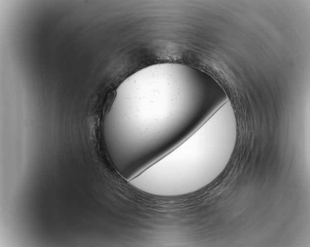 X0000094320229200711021119