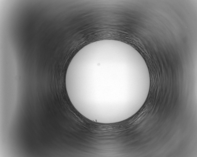 X0000094320239200711021118