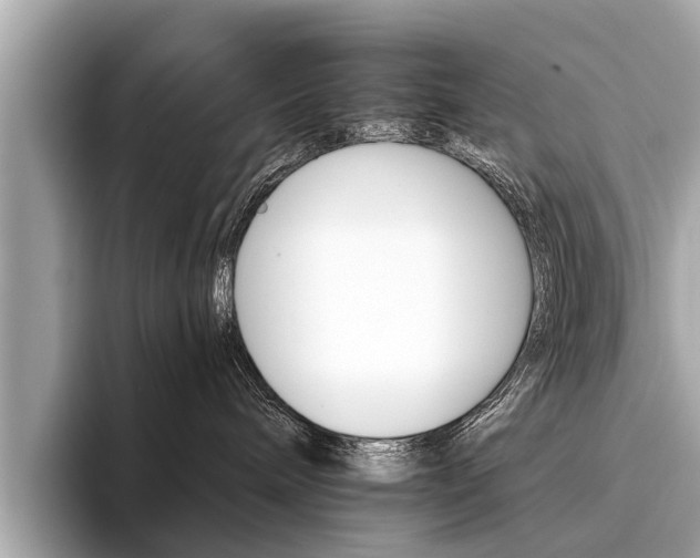 X0000094320240200711021118