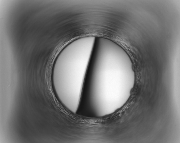 X0000094320241200711021118