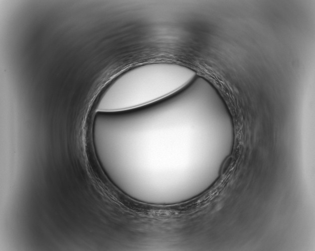 X0000094320242200711021118