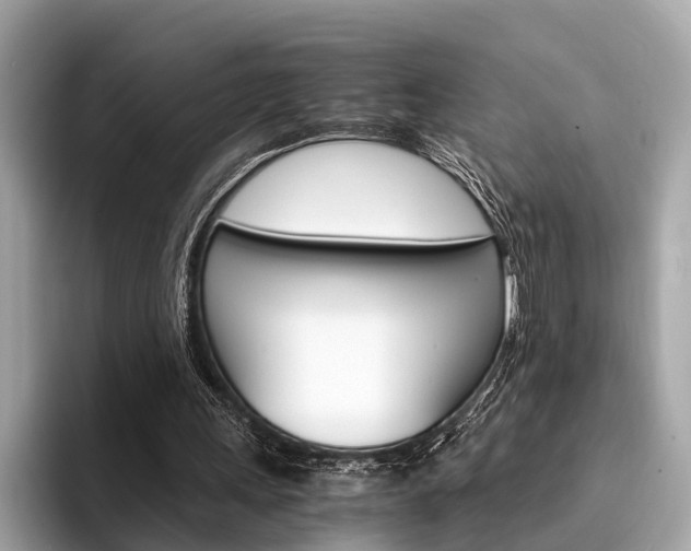 X0000094320243200711021118