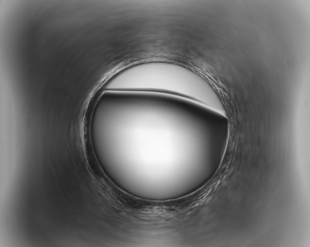 X0000094320244200711021118