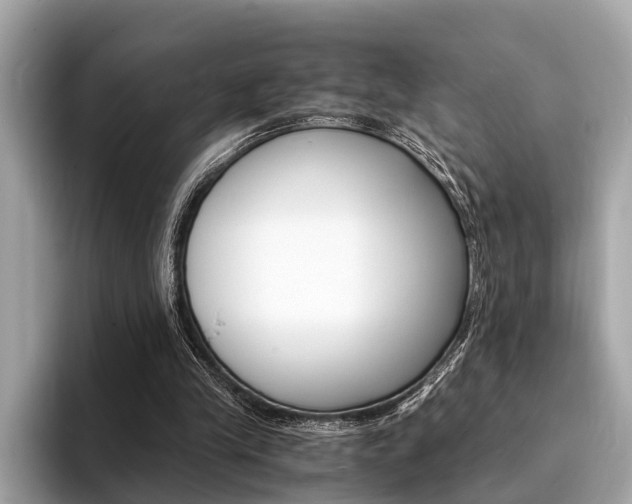 X0000094320245200711021118