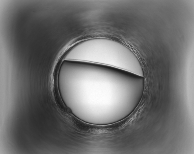 X0000094320246200711021118