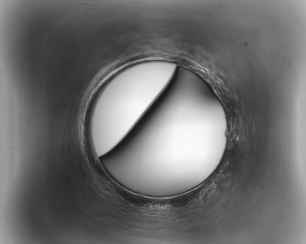 X0000094320247200711021118