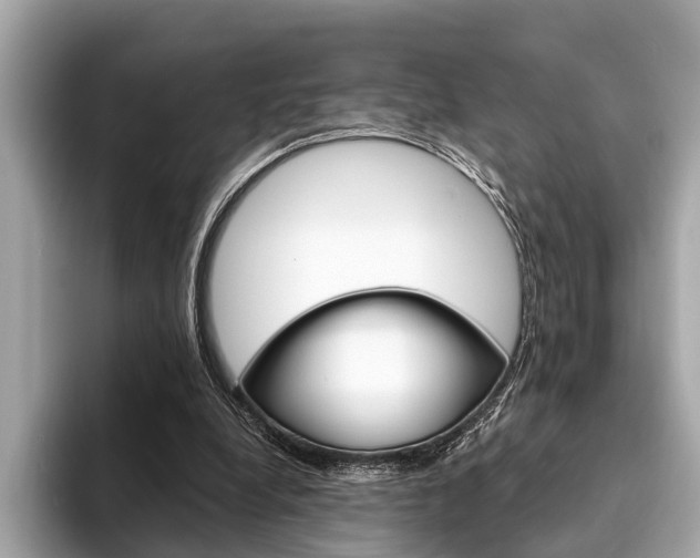 X0000094320248200711021118