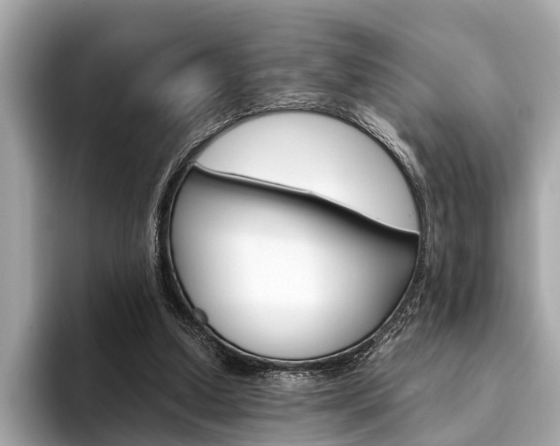 X0000094320250200711021118