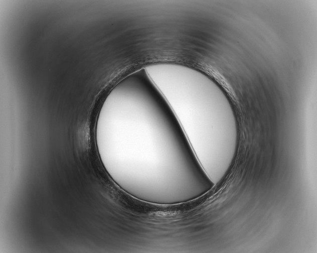 X0000094320251200711021118