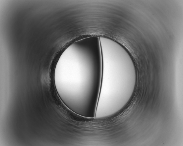 X0000094320252200711021118