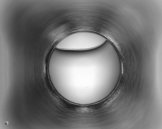 X0000094320253200711021118