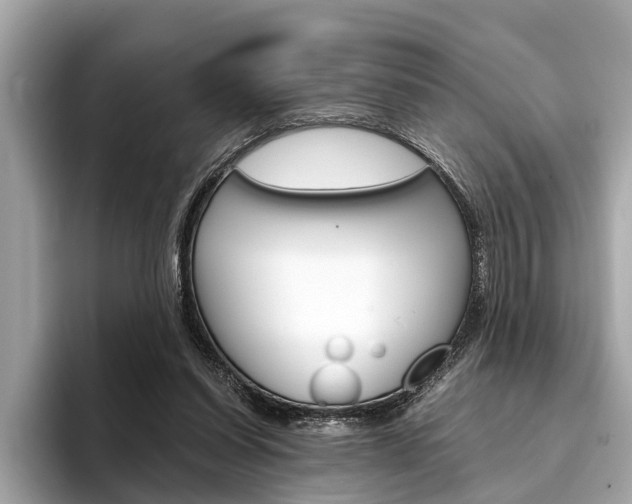 X0000094320254200711021118