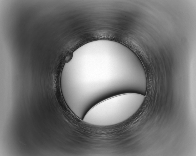 X0000094320255200711021118