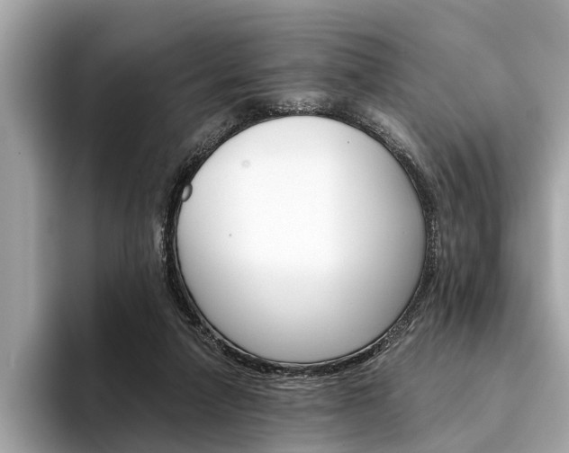 X0000094320258200711021118