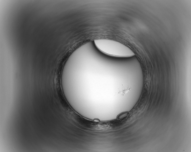 X0000094320270200711021118