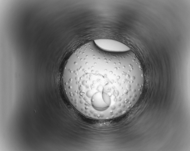 X0000094320278200711021118