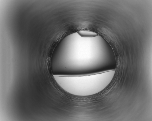 X0000094320280200711021118