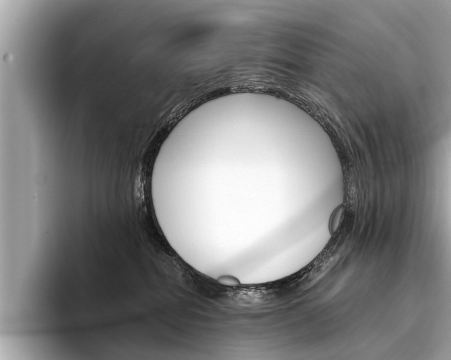 X0000094320282200711021118