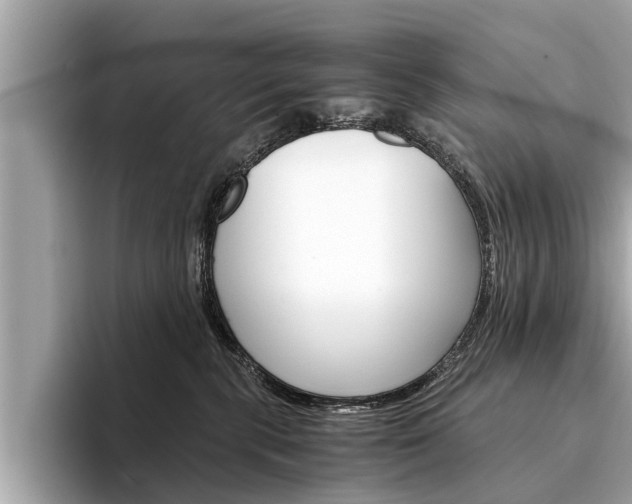 X0000094320283200711021118