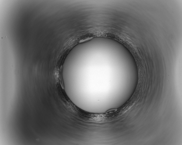 X0000094320288200711021118