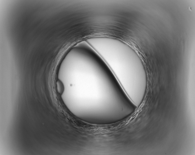 X0000094320289200711021118