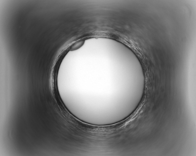 X0000094320294200711021118