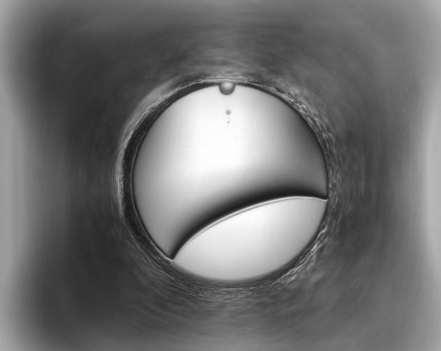 X0000094320296200711021118