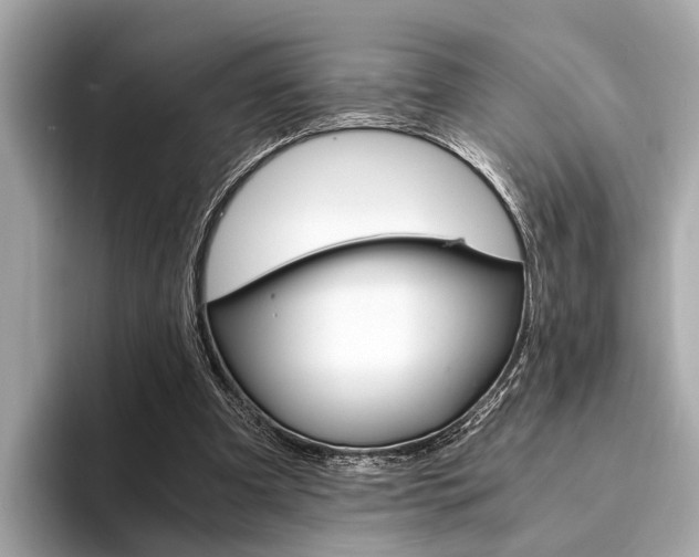 X0000094320297200711021118