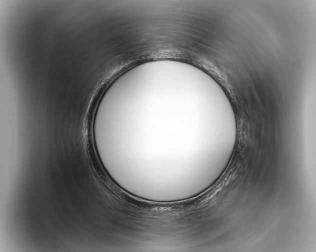 X0000094320298200711021118