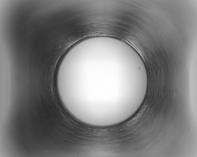 X0000094320301200711021118