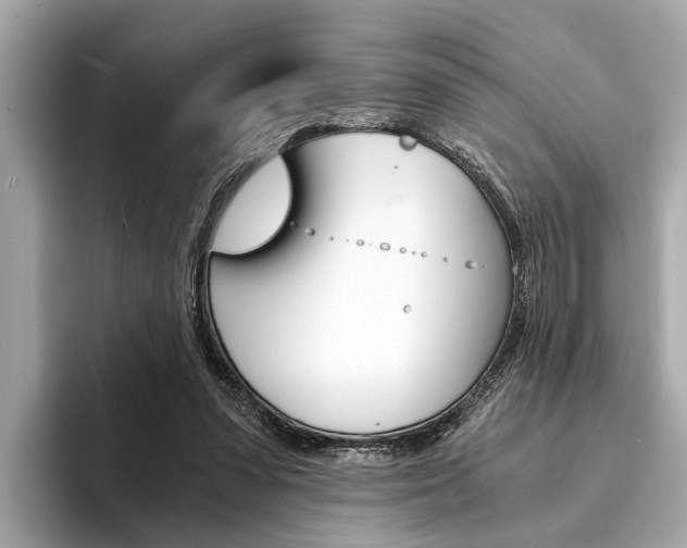X0000094320303200711021118