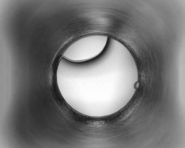 X0000094320304200711021118