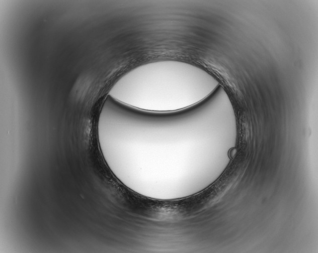 X0000094320308200711021117