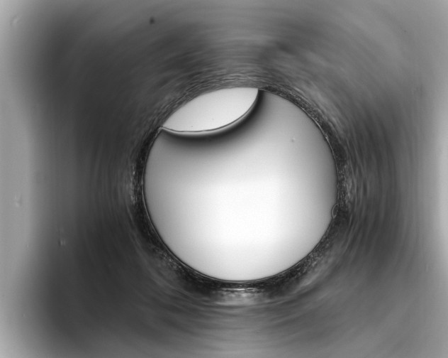 X0000094320316200711021117
