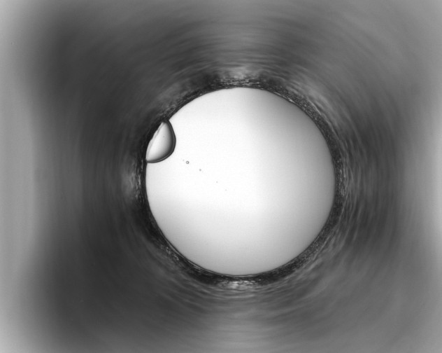 X0000094320324200711021117