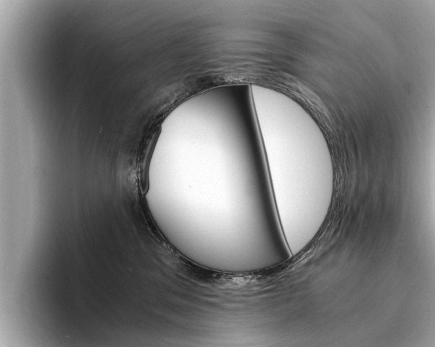 X0000094320329200711021117