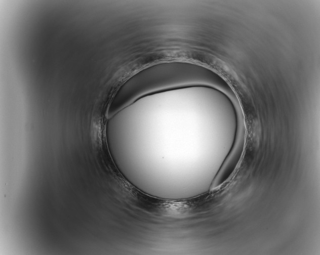 X0000094320333200711021117