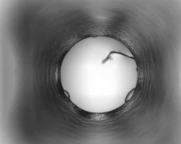 X0000094320334200711021117
