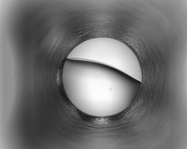 X0000094320335200711021117