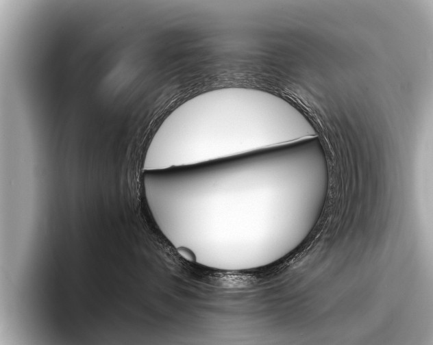 X0000094320336200711021117