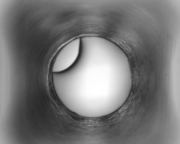 X0000094320338200711021117