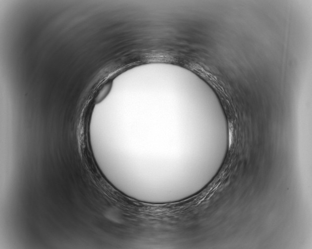 X0000094320339200711021117
