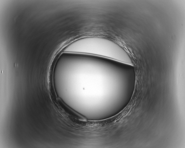 X0000094320340200711021117