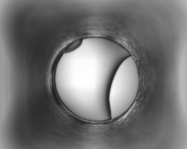X0000094320342200711021117